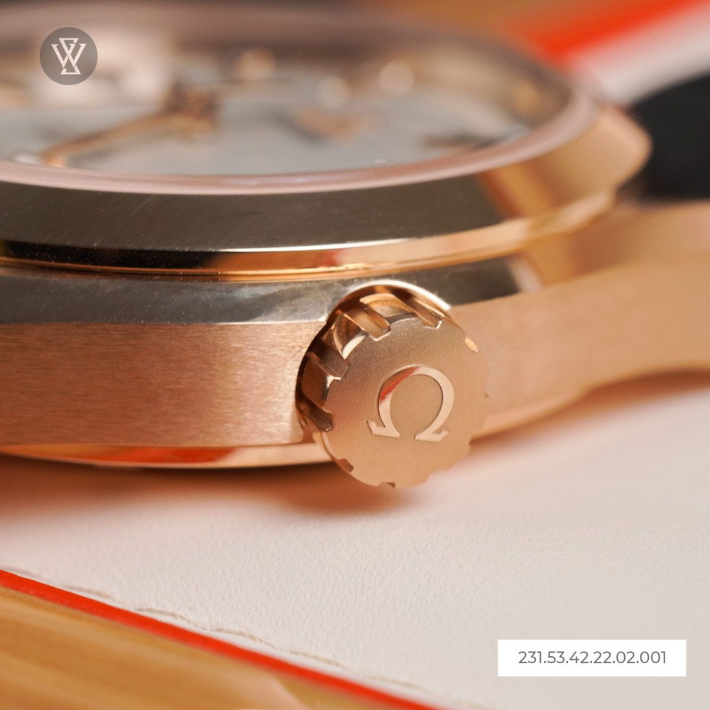Omega Seamaster Nam 231.53.42.22.02.001