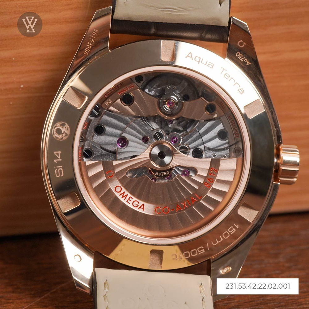 Omega Seamaster Nam 231.53.42.22.02.001