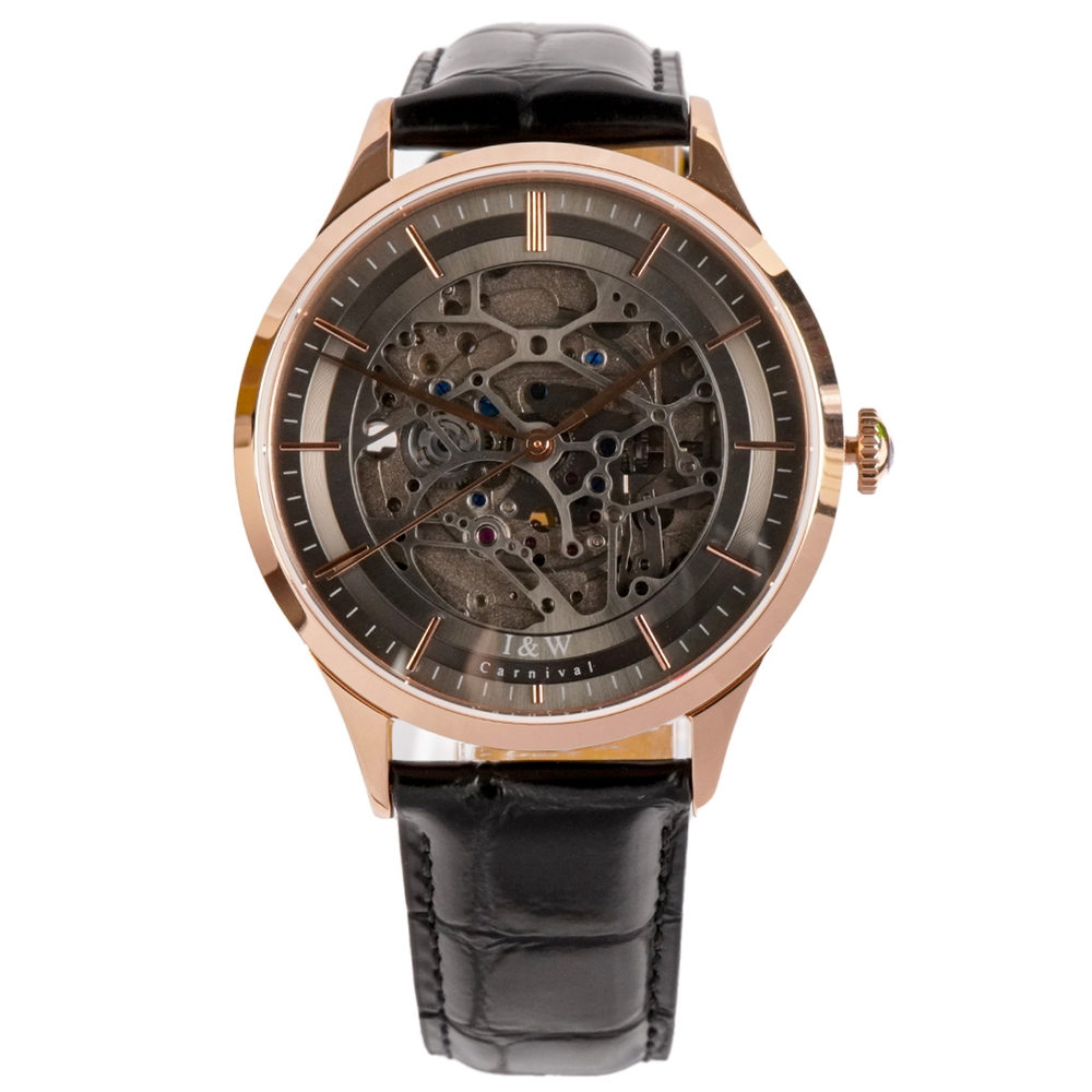I&W Carnival Nam 524G2