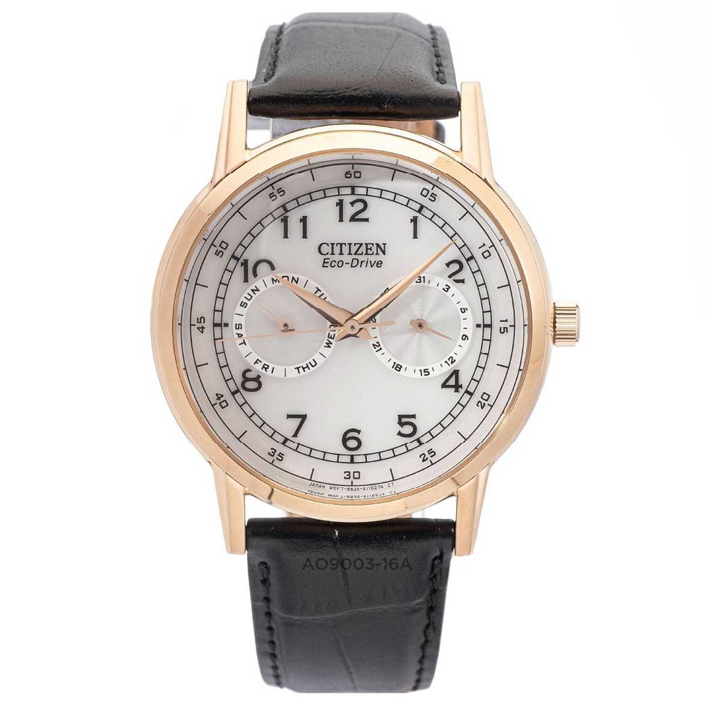 Citizen - Nam AO9003-16A Size 42mm