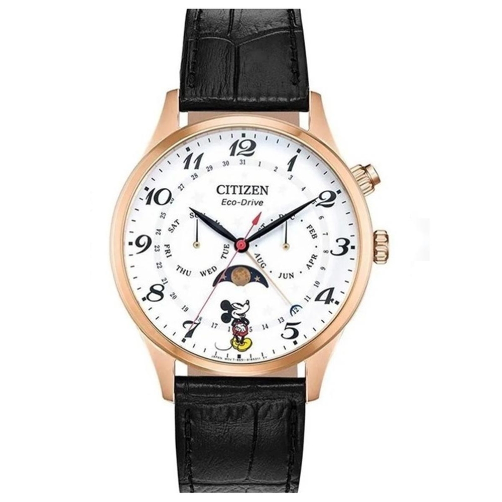 Citizen Nam AP1053-15W