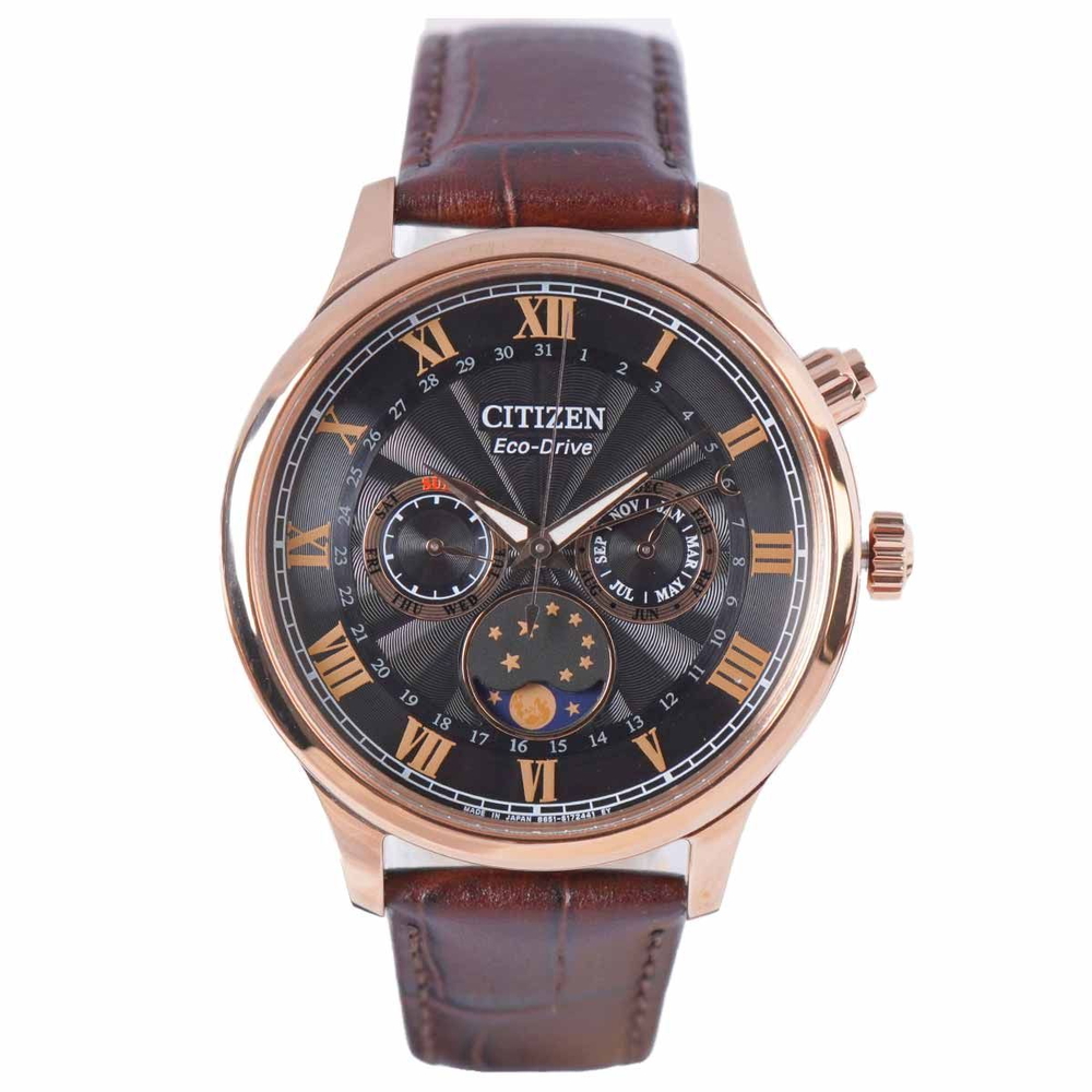 Citizen Nam AP1059-19E