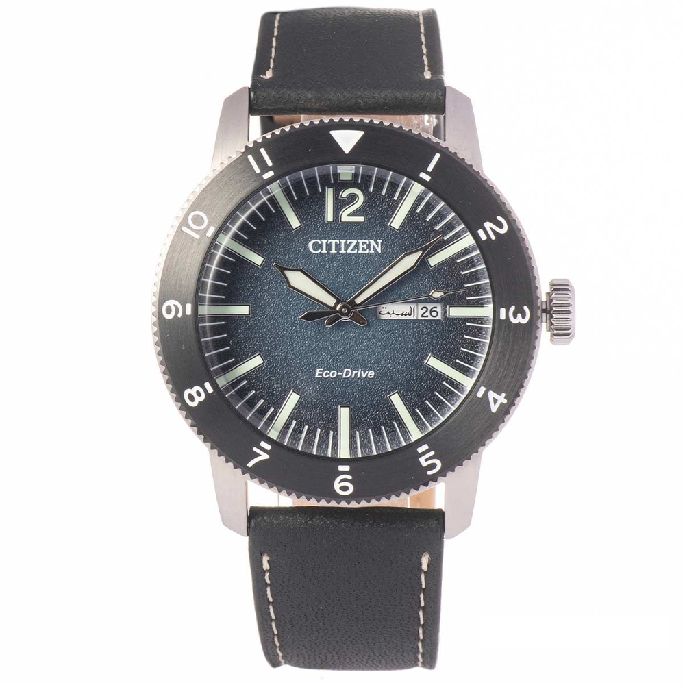 Citizen Nam AW0077-19L