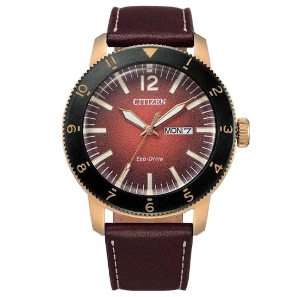 Citizen - Nam AW0079-13X Size 42.5mm