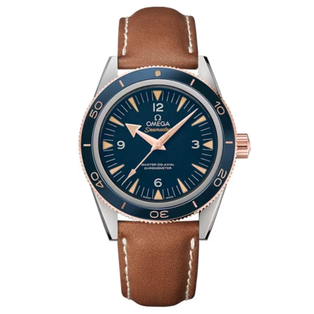 Omega Seamaster Nam 233.62.41.21.03.001