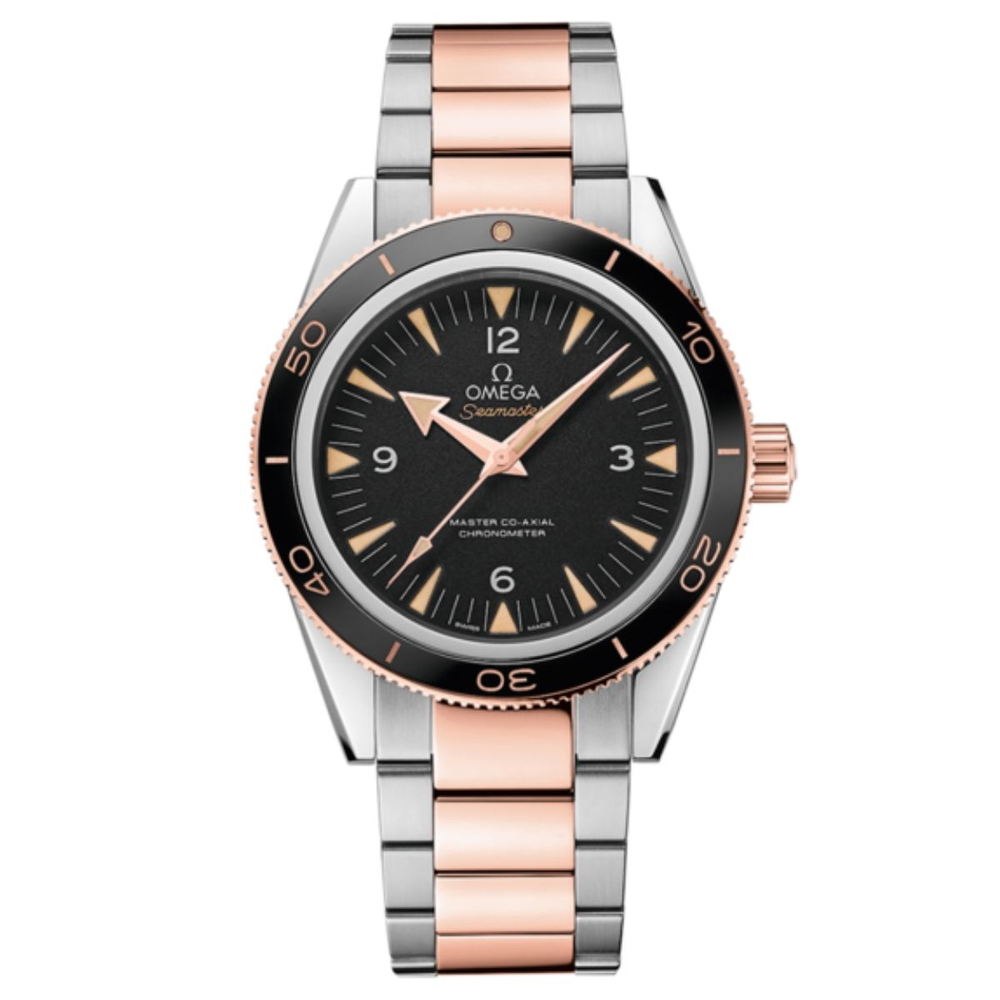 Omega Seamaster Nam 233.20.41.21.01.001