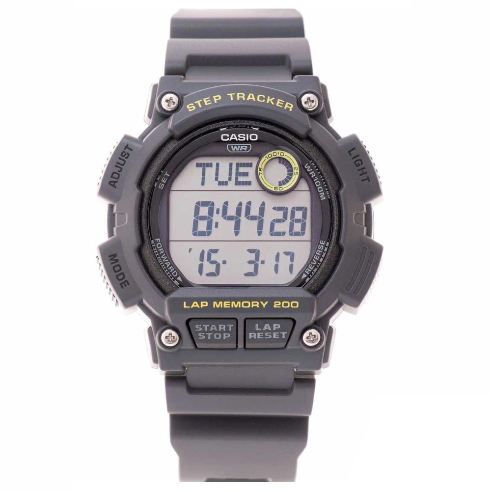 Casio Nam WS-2100H-8AVDF