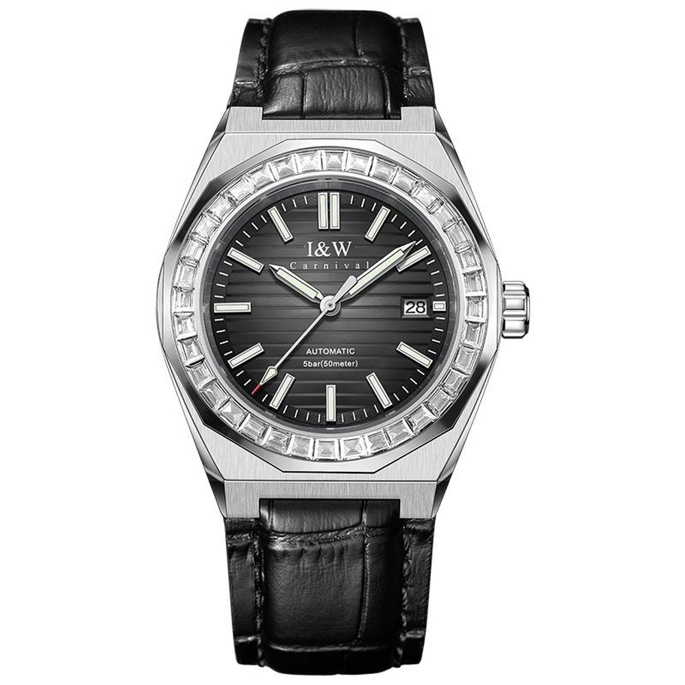 I&W Carnival Nam 733G6