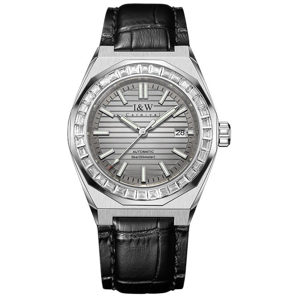 I&W Carnival Nam 733G5