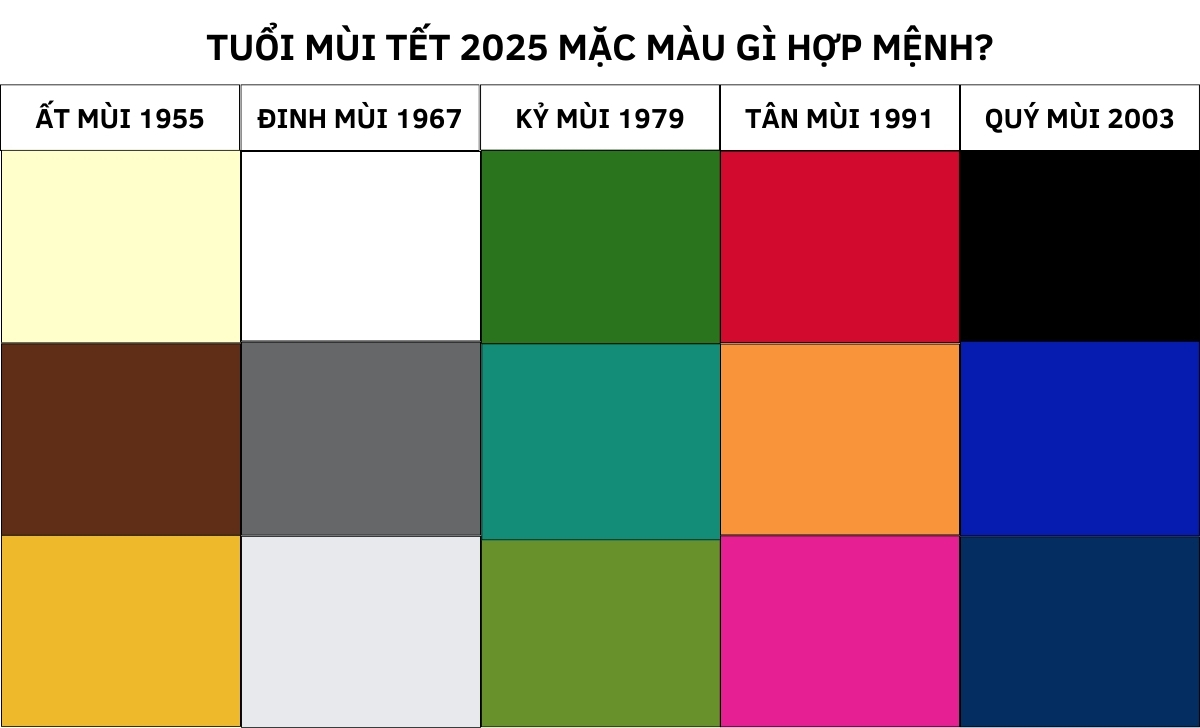 2003 Hợp Màu Gì Tết 2025? Khám Phá Lựa Chọn Màu Sắc May Mắn Cho Bạn