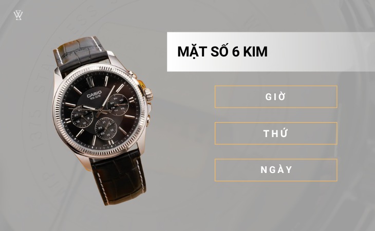 Mặt số 6 kim
