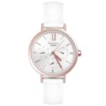 Dong Ho Casio She 3064pgl 7a 1 Ims 1712554958