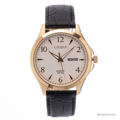 Đồng hồ Citizen 41mm Nam BF2003-25A chính hãng Ảnh sản phẩm Citizen 41mm Nam BF2003-25A