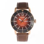 Citizen Aw0076 03xxg 1 1712567890