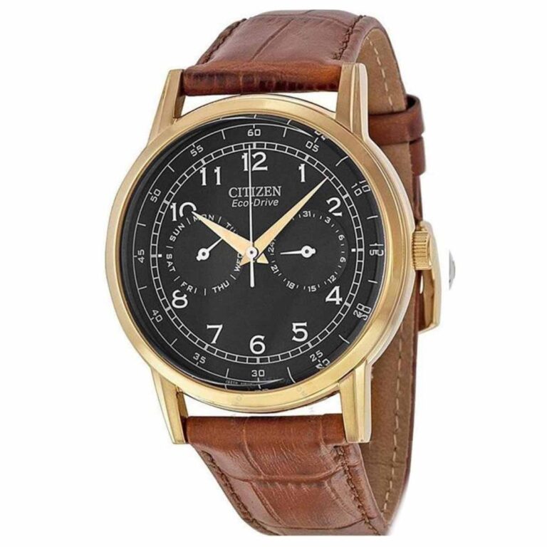 Citizen 42mm Nam AO9003-08E