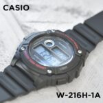 W 216h 1avdf 1 1712569953