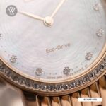 Ex1483 50d 5 1640056768173 1712574819