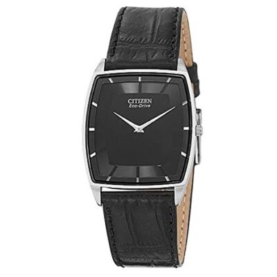 Đồng hồ Citizen 31mm Nam AR3020-02E chính hãng Ảnh sản phẩm Citizen 31mm Nam AR3020-02E