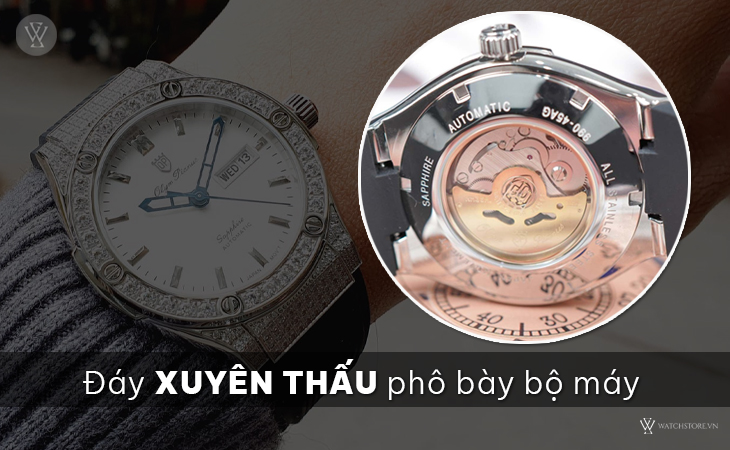 Olym Pianus OP990-45ADDGS-GL-T đáy xuyên thấu