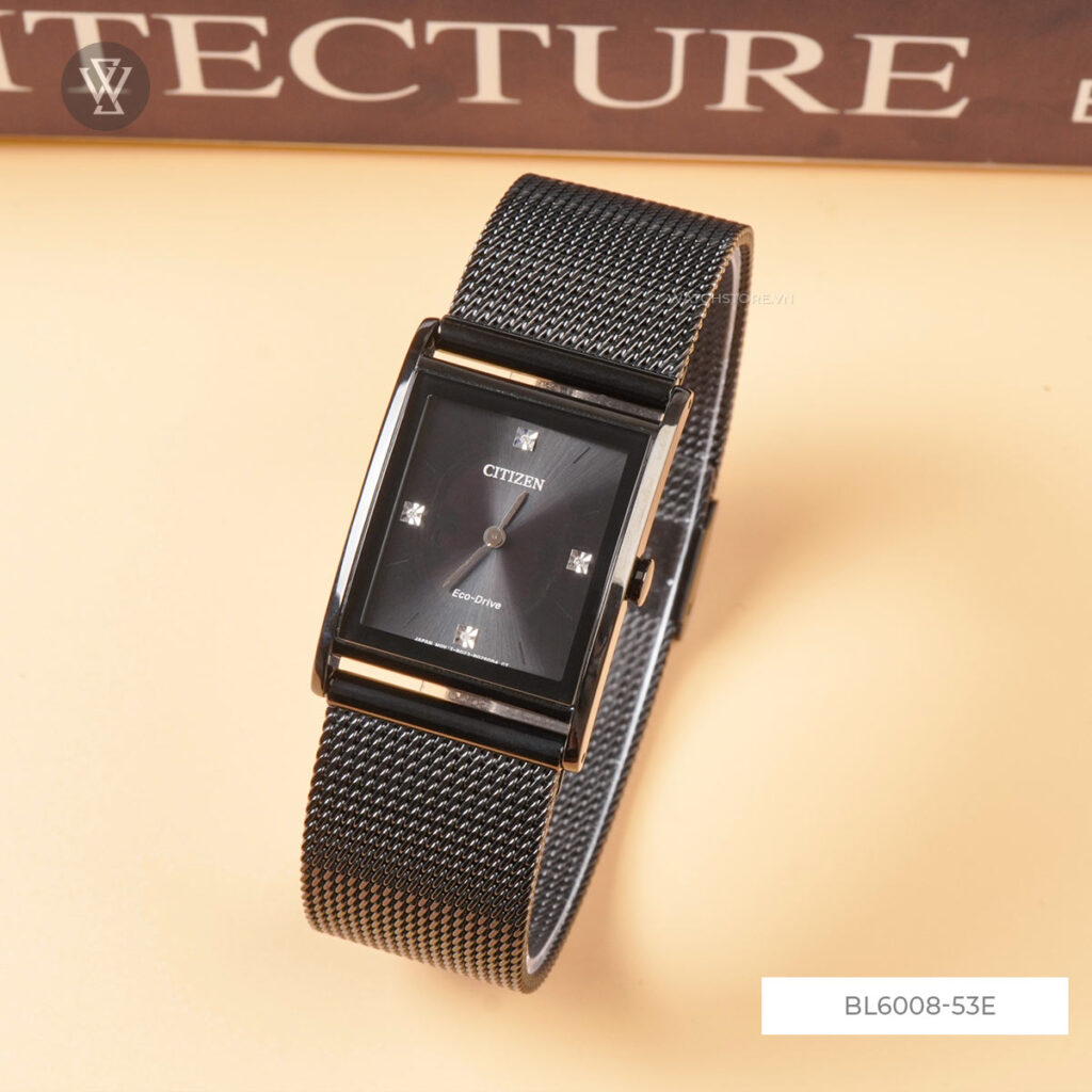 Bl6008 53e 1 1712585440