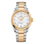 Omega 231 20 39 21 55 004 1716279659