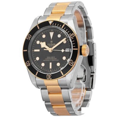 Đồng hồ Tudor 41mm Nam 79733N-0002 chính hãng Ảnh sản phẩm Tudor 41mm Nam 79733N-0002
