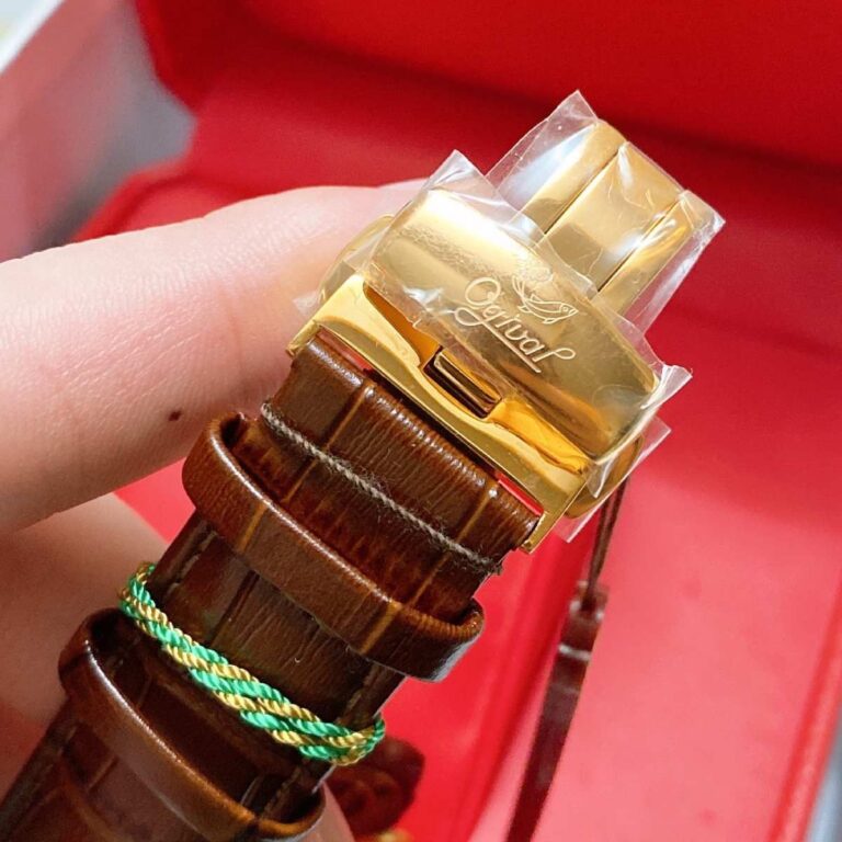 5 1670250764354 1712589881