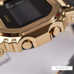 Gm 5600g 9dr 5 1712589867