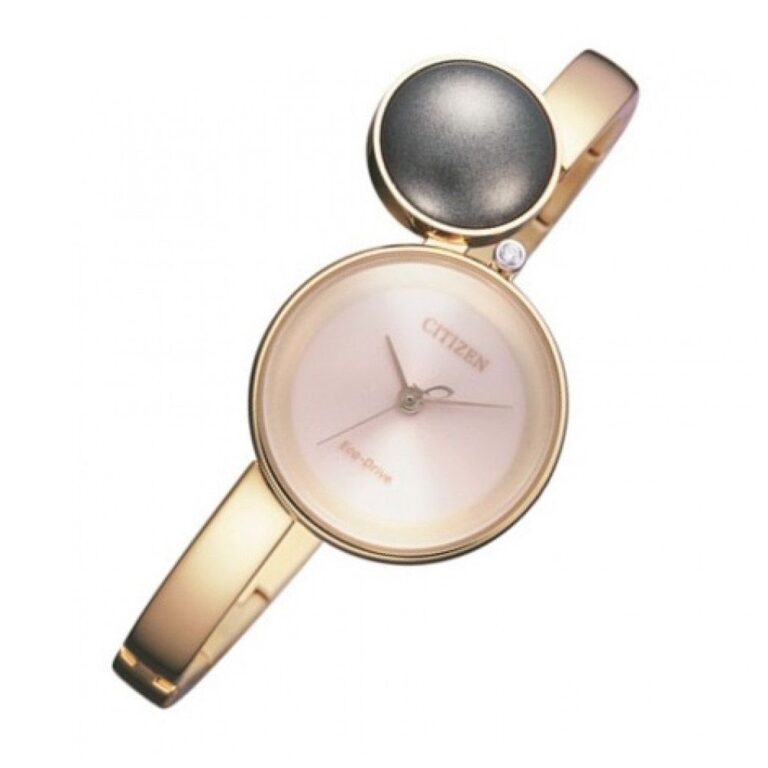 1 1677416663580 1712591772