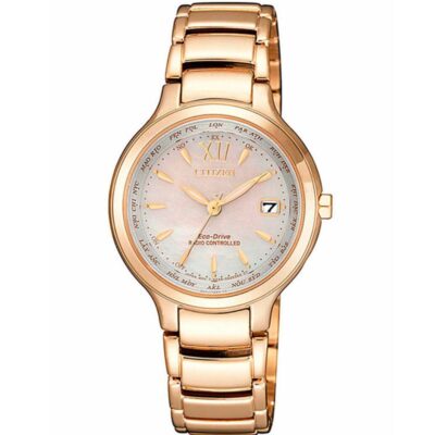 Đồng hồ Citizen 30mm Nữ EC1173-87D chính hãng Ảnh sản phẩm Citizen 30mm Nữ EC1173-87D