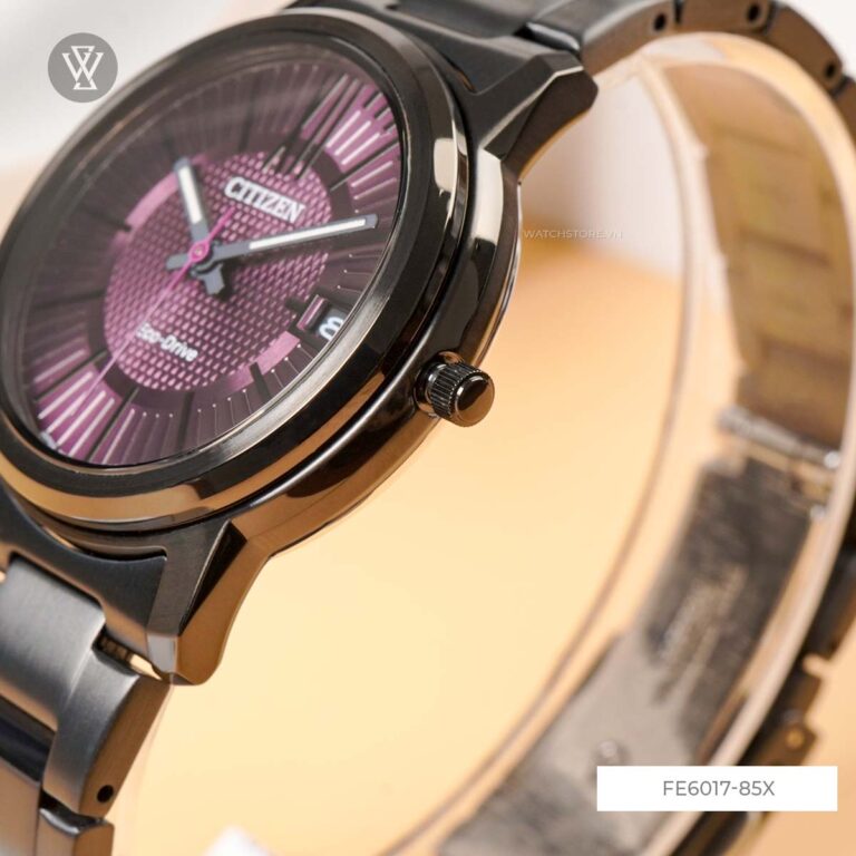 Fe6017 85x 5 1712591670