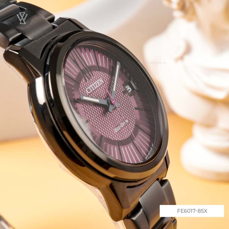 Fe6017 85x 6 1712591670