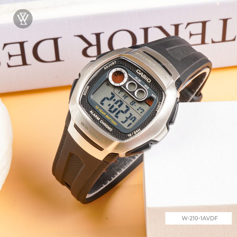 W 210 1avdf 2 1712663398