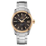 Omega 231 20 39 21 06 004 1716279821