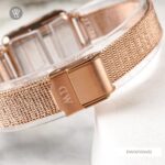 Dw00100432 8 1712665636