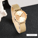 Dw00100473 2 1712665739