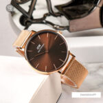 Dw00100477 3 1712665752