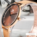 Dw00100477 5 1712665753