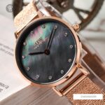 Dw00100591 4 1712665908