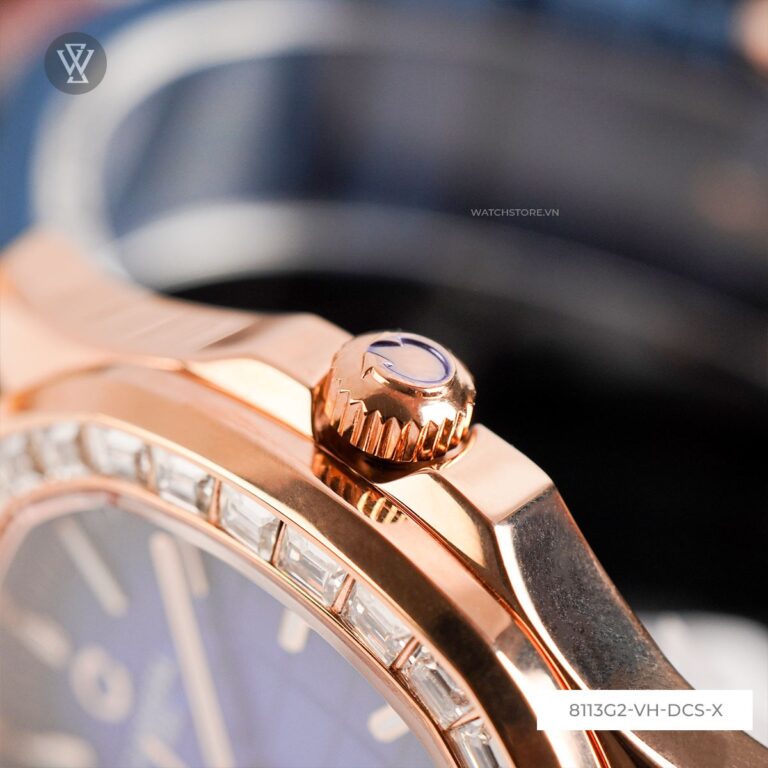 8113g2 Vh Dcs X 5 Carnival 1715846217