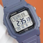 W 800h 2avdf 4 1731037983