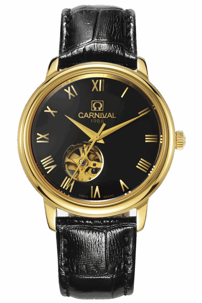 Carnival 38mm Nam 50801G-VV-DD-D