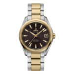 Omega 231 20 39 21 06 002 1716279892