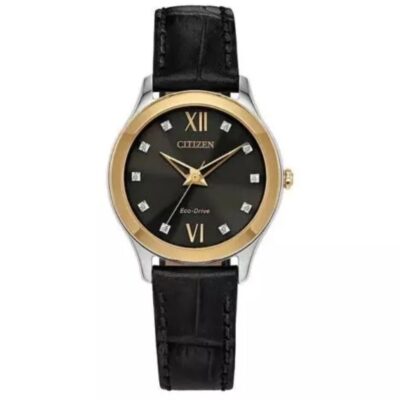 Đồng hồ Citizen 29 mm Nữ EM1018-08E chính hãng Ảnh sản phẩm Citizen 29 mm Nữ EM1018-08E