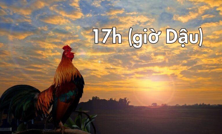 vận mệnh người sinh 17h