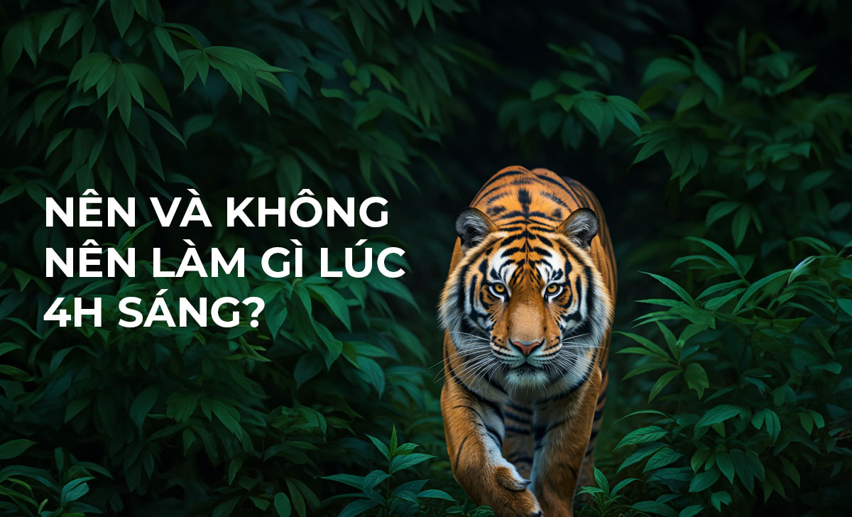4h sáng là giờ gì? Nên và không nên làm gì vào khung 4h? 2 4h sang la gio gi 2