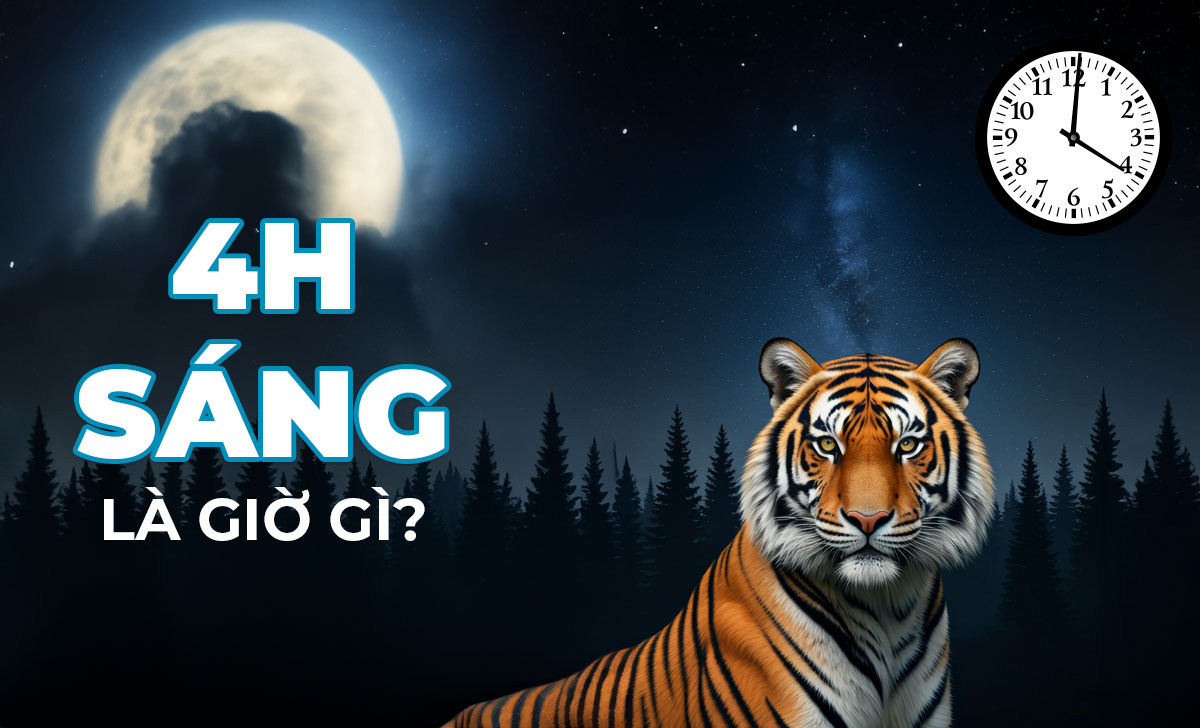 4h sáng là giờ gì? Nên và không nên làm gì vào khung 4h? 1 4h sang la gio gi