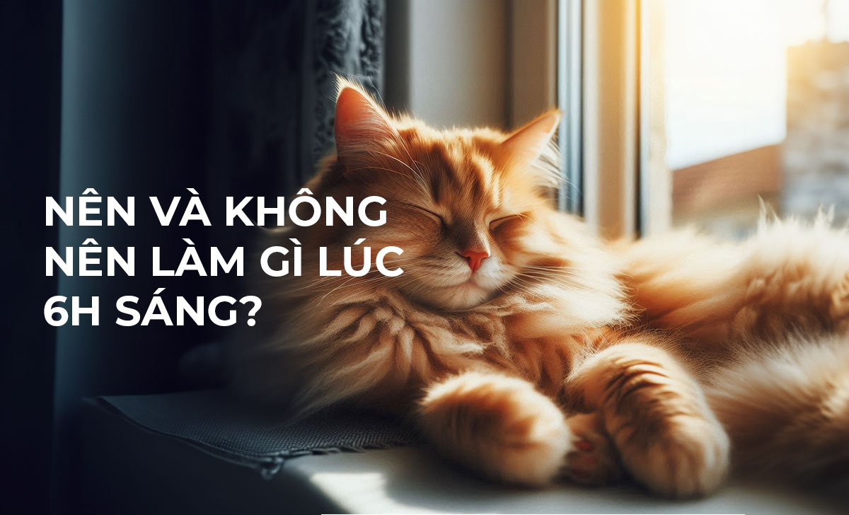 6h sáng là giờ gì? Nên và không nên làm gì lúc 6 giờ sáng? 2 6h sang la gio gi 1 1
