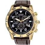 Citizen 43mm Nam BL5472-01E - Ảnh 1