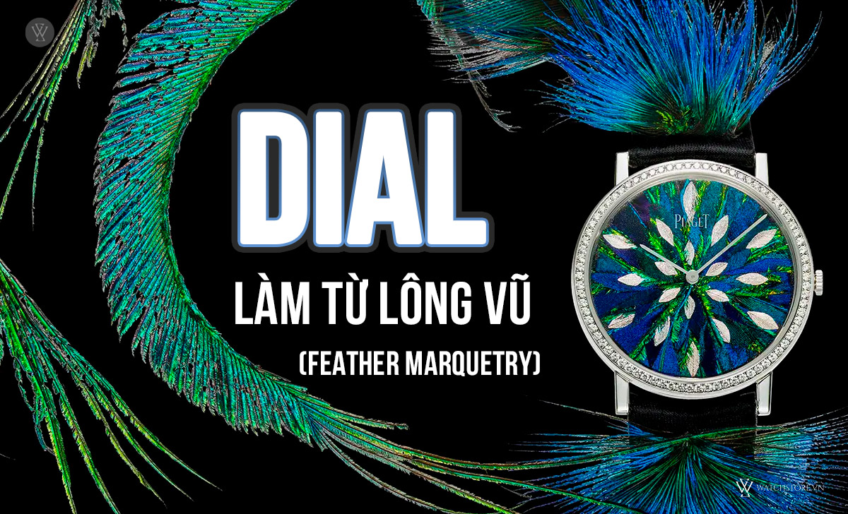 Dial đồng hồ là gì? Chi tiết 30 loại mặt số cần biết 29 Dial lông vũ